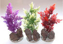 Augalas plastikinis Rock medium 20cm
